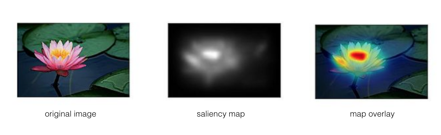 Graph-based saliency map for a flower; the most salient (important) pixels have been identified as the flower-center and petals.